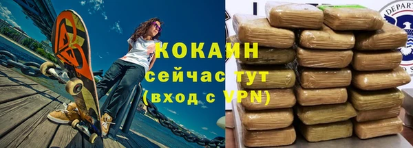 крисы Пенза