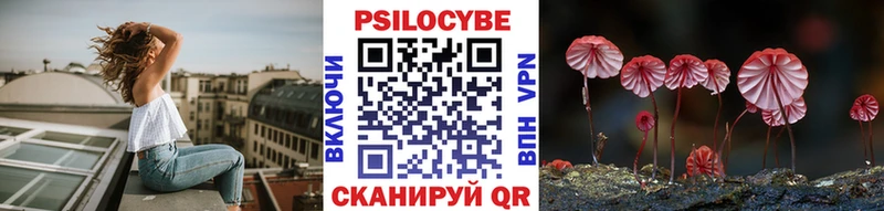 как найти закладки  Староминская  Псилоцибиновые грибы мицелий 